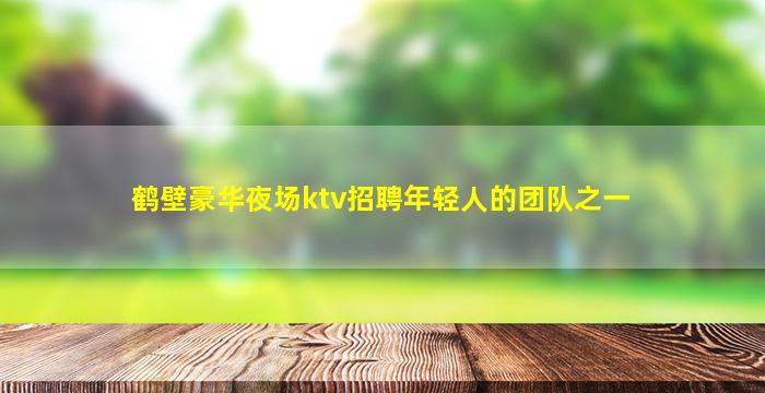 鹤壁豪华夜场ktv招聘年轻人的团队之一